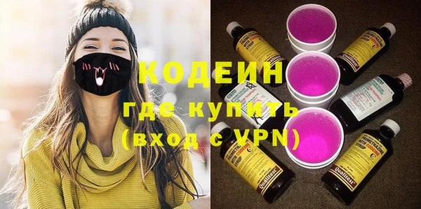 дживик Богородицк