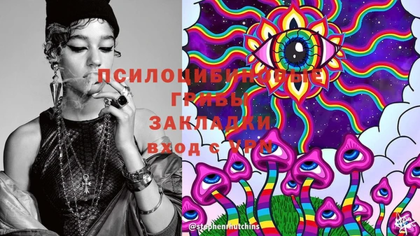 а пвп мука Богданович