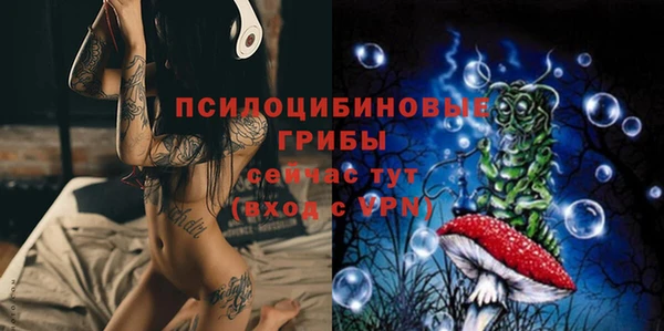 дживик Богородицк
