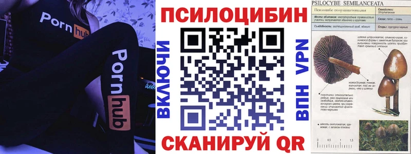Псилоцибиновые грибы Magic Shrooms  Ясногорск 